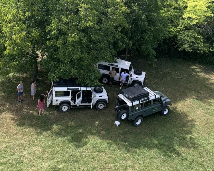 Felülnézeti kép három parkoló Land Rover terepjáróról egy hatalmas fa árnyékában, körülöttük a fűben beszélgető emberekkel.